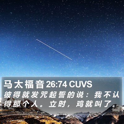 马 太 福 音 26:74 CUVS Bible Verse Image