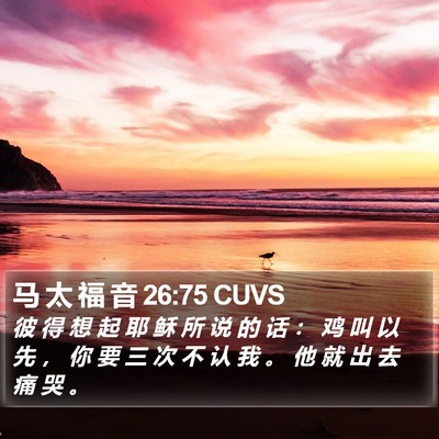 马 太 福 音 26:75 CUVS Bible Verse Image