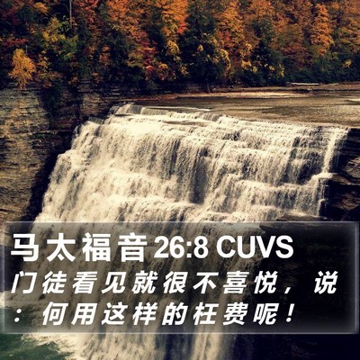 马 太 福 音 26:8 CUVS Bible Verse Image