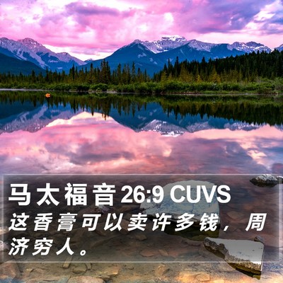 马 太 福 音 26:9 CUVS Bible Verse Image
