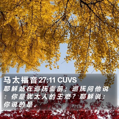 马 太 福 音 27:11 CUVS Bible Verse Image