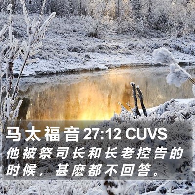 马 太 福 音 27:12 CUVS Bible Verse Image