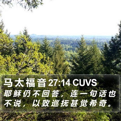 马 太 福 音 27:14 CUVS Bible Verse Image