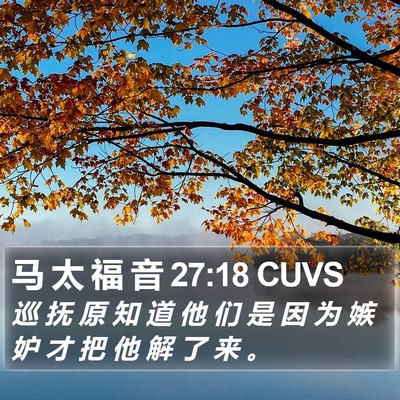 马 太 福 音 27:18 CUVS Bible Verse Image