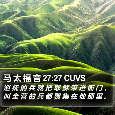 马 太 福 音 27:27 CUVS Bible Verse Image