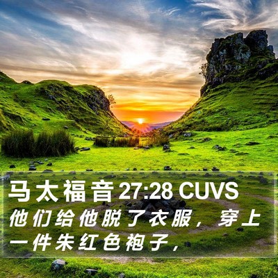 马 太 福 音 27:28 CUVS Bible Verse Image