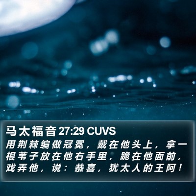 马 太 福 音 27:29 CUVS Bible Verse Image