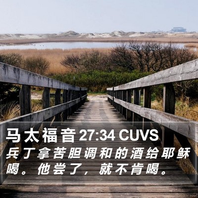 马 太 福 音 27:34 CUVS Bible Verse Image
