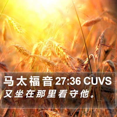 马 太 福 音 27:36 CUVS Bible Verse Image