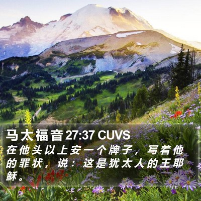 马 太 福 音 27:37 CUVS Bible Verse Image