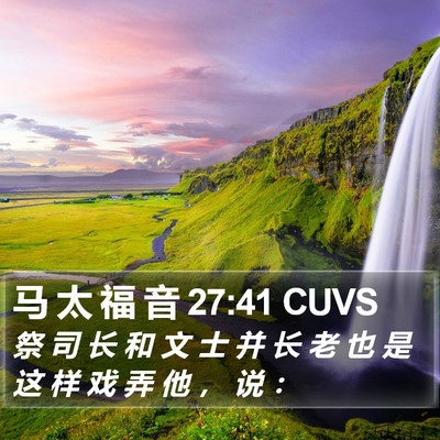 马 太 福 音 27:41 CUVS Bible Verse Image
