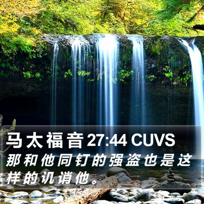 马 太 福 音 27:44 CUVS Bible Verse Image