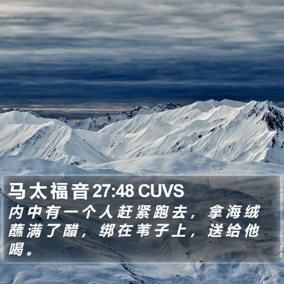 马 太 福 音 27:48 CUVS Bible Verse Image