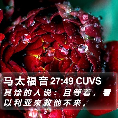 马 太 福 音 27:49 CUVS Bible Verse Image