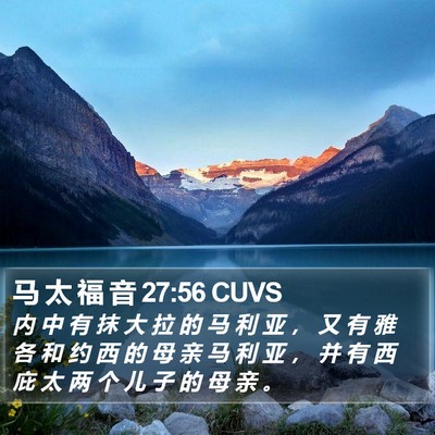 马 太 福 音 27:56 CUVS Bible Verse Image