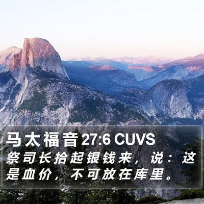马 太 福 音 27:6 CUVS Bible Verse Image
