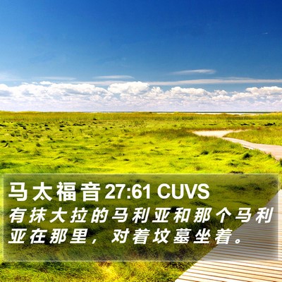 马 太 福 音 27:61 CUVS Bible Verse Image