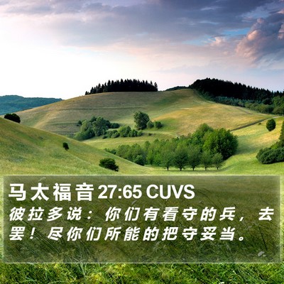 马 太 福 音 27:65 CUVS Bible Verse Image