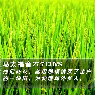 马 太 福 音 27:7 CUVS Bible Verse Image