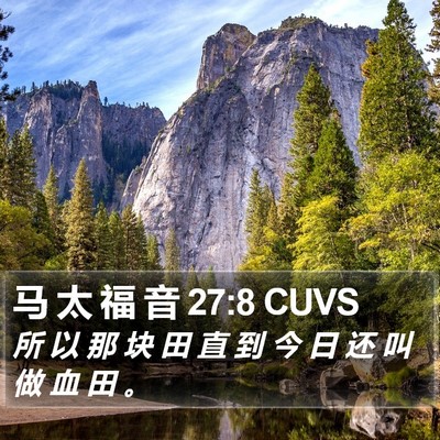 马 太 福 音 27:8 CUVS Bible Verse Image
