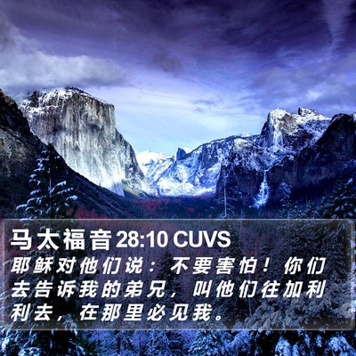 马 太 福 音 28:10 CUVS Bible Verse Image