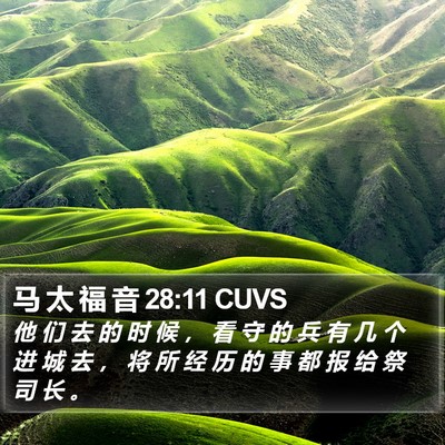 马 太 福 音 28:11 CUVS Bible Verse Image