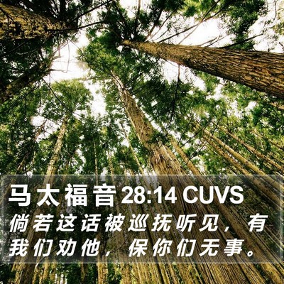 马 太 福 音 28:14 CUVS Bible Verse Image