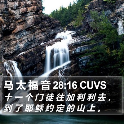 马 太 福 音 28:16 CUVS Bible Verse Image