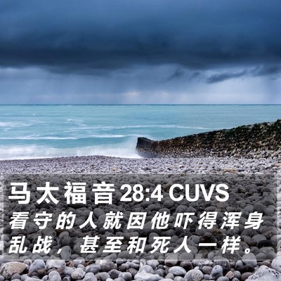马 太 福 音 28:4 CUVS Bible Verse Image