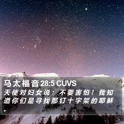 马 太 福 音 28:5 CUVS Bible Verse Image
