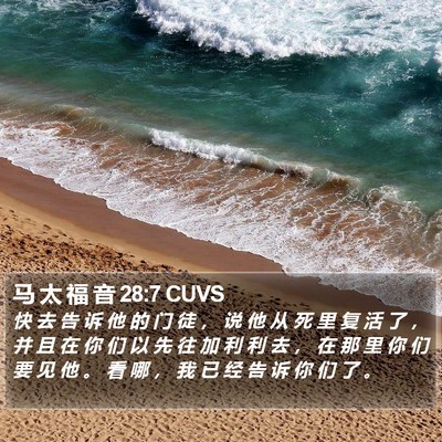 马 太 福 音 28:7 CUVS Bible Verse Image