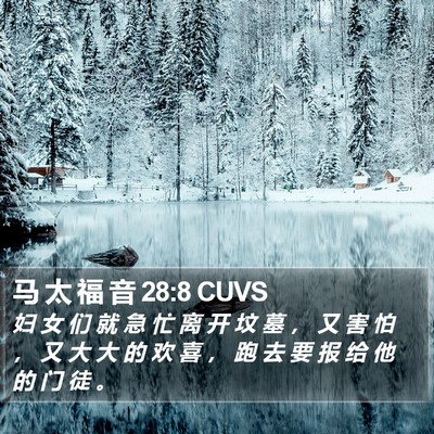 马 太 福 音 28:8 CUVS Bible Verse Image