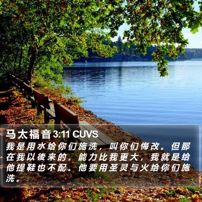 马 太 福 音 3:11 CUVS Bible Verse Image