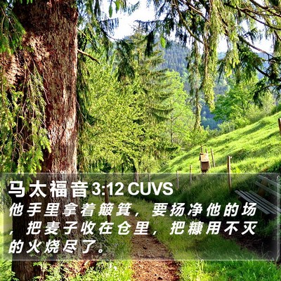 马 太 福 音 3:12 CUVS Bible Verse Image