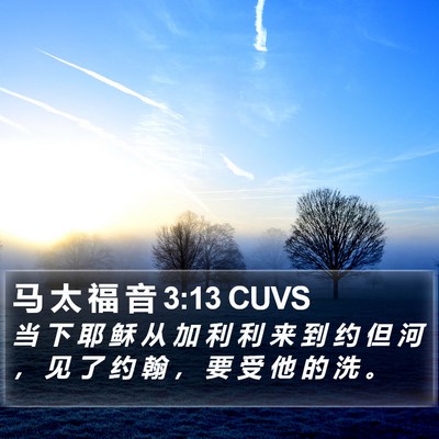马 太 福 音 3:13 CUVS Bible Verse Image