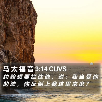 马 太 福 音 3:14 CUVS Bible Verse Image