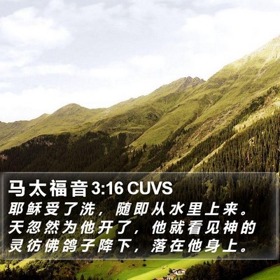 马 太 福 音 3:16 CUVS Bible Verse Image