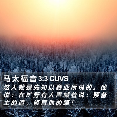 马 太 福 音 3:3 CUVS Bible Verse Image