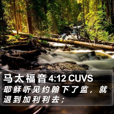马 太 福 音 4:12 CUVS Bible Verse Image