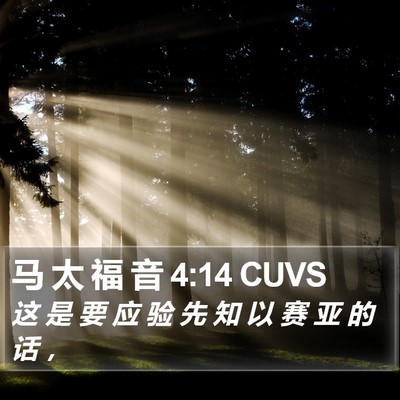 马 太 福 音 4:14 CUVS Bible Verse Image
