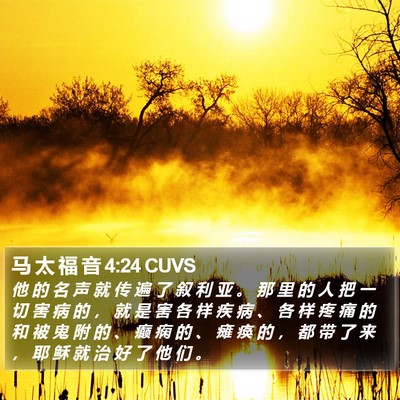 马 太 福 音 4:24 CUVS Bible Verse Image