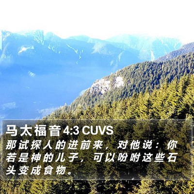 马 太 福 音 4:3 CUVS Bible Verse Image