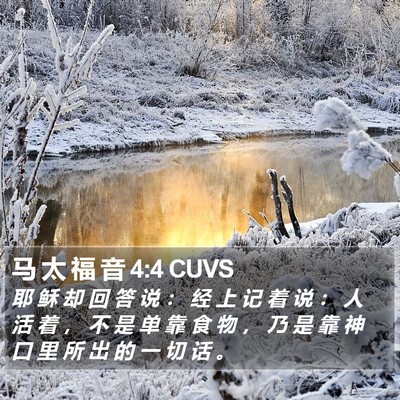 马 太 福 音 4:4 CUVS Bible Verse Image