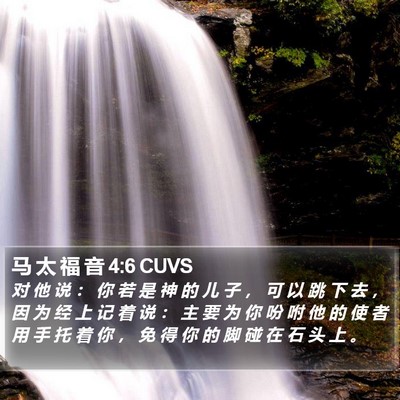 马 太 福 音 4:6 CUVS Bible Verse Image