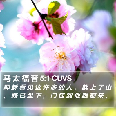 马 太 福 音 5:1 CUVS Bible Verse Image