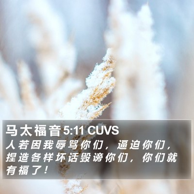 马 太 福 音 5:11 CUVS Bible Verse Image