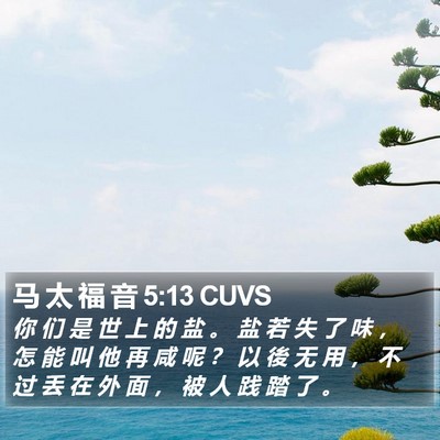 马 太 福 音 5:13 CUVS Bible Verse Image