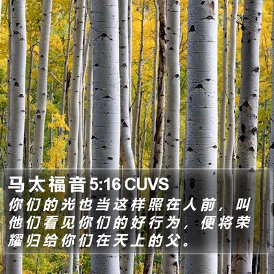 马 太 福 音 5:16 CUVS Bible Verse Image