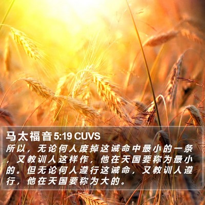 马 太 福 音 5:19 CUVS Bible Verse Image