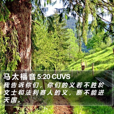 马 太 福 音 5:20 CUVS Bible Verse Image